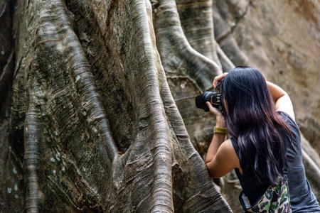 Young woman with Shoulder bag and using a camera to take photo Giant big tree, Size comparison...