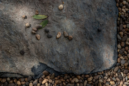 The background of the stone walkway, That has Sun rays shining through. Beautiful background, copy...
