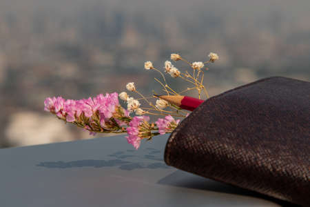 Pink and white flower with notebook and pencil for work and blurry city view. Space for text, Selective focus.の写真素材