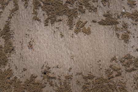Sand texture for background. Closeup of sand pattern of a beach in the summer. Top view