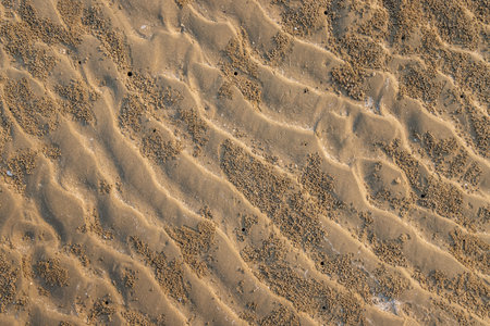 Sand texture for background. Closeup of sand pattern of a beach in the summer. Top view
