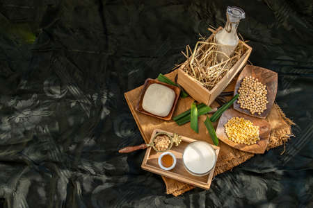 Soy products : A glass of Homemade soy milk and grains (soybeans) tofu Served with brown sugar and honey on sackcloth with lighting in the morning. Alternative milk concept, Selective focus, Copy space.の写真素材