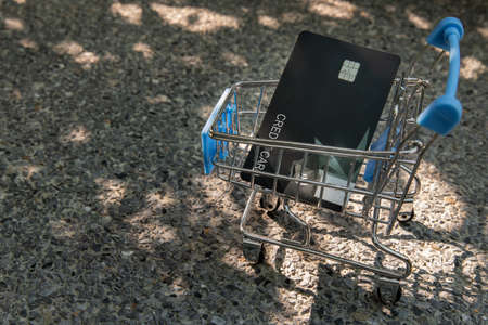 A credit card in a Mini supermarket trolley. Ideas about home online shopping.の写真素材