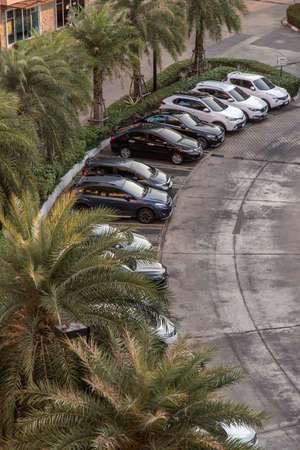 Bangkok, Thailand - 26 Mar 2020 : Car parking lot outdoor with trees in front of hall building in the evening. Outdoor parking lot with fresh ozone and green environment concept.のeditorial素材