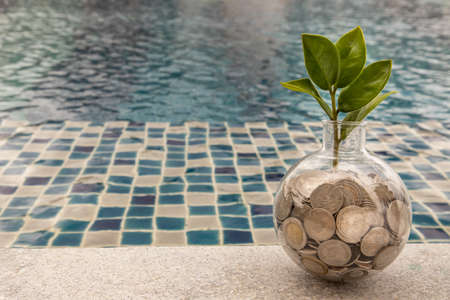 The saplings that grow on the pile of coins In a glass bottle on pool background Symbol for business growth. Investment concept for growth and saving money. Space for text input, Selective focus.の写真素材