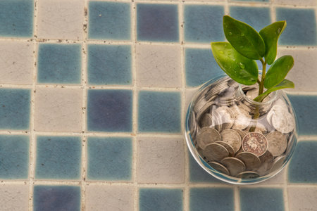 The saplings that grow on the pile of coins In a glass bottle on pool background Symbol for business growth. Investment concept for growth and saving money. Space for text input, Selective focus.の写真素材