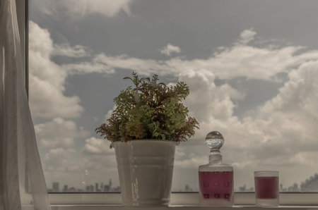 Relaxing area by the window with city view. Enjoy relaxing moment with grape juice and flower. City...
