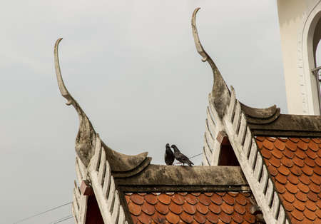 Two pigeons perched on the roof at Buddhist temple. Selective focus.の写真素材