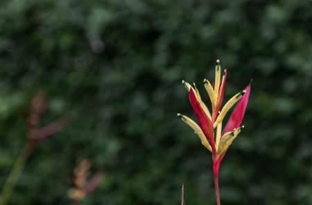 Low angle looking up at Condominium building with repeating structure and white sky background. Selective focus.の写真素材