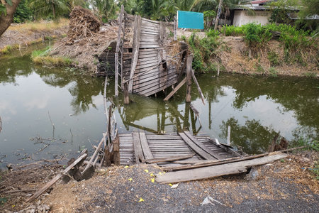 The natural background of Big tree broken fallen and debris in canal. Broken branches, No focus, specifically.の写真素材