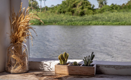 Relaxing corner beside the river with dried ear of rice in a glass jar and little cactus in wooden plant pot for decoration purpose on old wooden table overlooking the river view. Good atmosphere, Selective focus.の写真素材