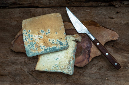 Mold growing rapidly on Moldy bread slices in green and white spores and knife on wooden cutting...
