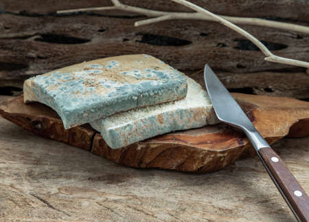 Mold growing rapidly on Moldy bread slices in green and white spores and knife on wooden cutting board. Rotten and inedible food. Copy space, Selective Focus.の写真素材