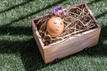 The happy egg is lying on dry straw.  Happy and relaxing concept.の写真素材