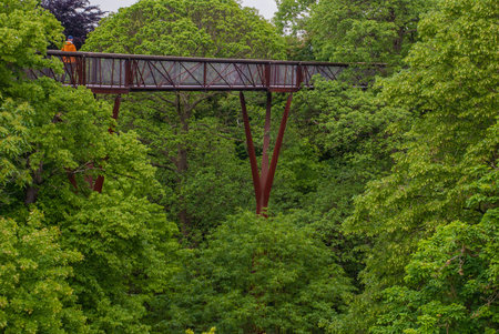 London, UK - Apr 9, 2019 : Structure of the treetop walkway bridge through surrounded by big trees at Kew, Royal Botanic Gardens.の写真素材
