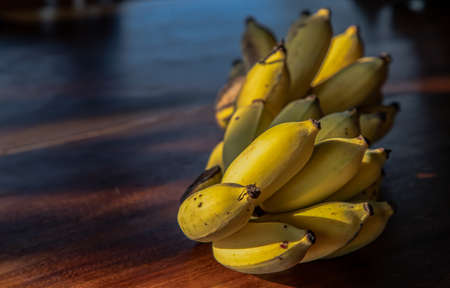 Bunch of Lady finger bananas.Tropical Fruit Natural Product on wooden table. Selective focus.の写真素材