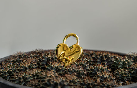 Golden heart shaped love padlock and key over on small cactus pile background. Valentine's day...