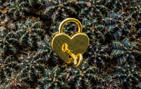 Close-up of Golden heart shaped love padlock and key over on small cactus pile background. Valentine's day concept, Copy space, Selective focus.の写真素材