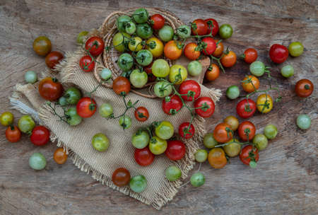 Group of Colorful variety of Fresh wild tomatoes (Mini Cherry Tomatos) on old wooden board background. Top view, Selective focus.の写真素材
