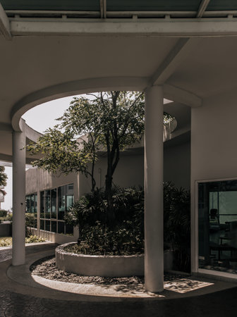 Bangkok,Thailnad - Apr 14, 2022 : A big tree in the middle of building in summer time. Building...