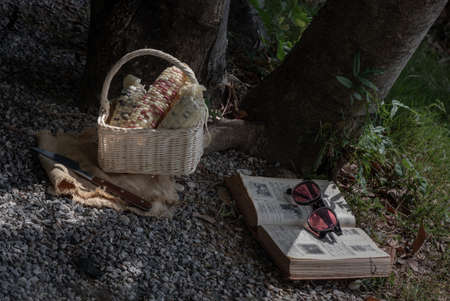 Bangkok, Thailand. May - 07, 2022 : Fresh waxy corn or Sweet glutinous corn in Wicker basket with book and sunglasses under the tree. Relaxing time on holiday at the park, Copy space, Selective focus.の写真素材