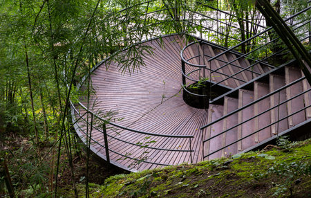 Wooden walking stairs with green steel railing and surrounding green trees in the bamboo forest....