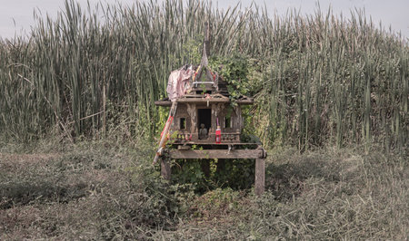 A old wooden spirit house or Joss house built for guardian spirit to reside for protective spirit of a place On the overgrown grass beside the road. and Red soft drink is the belief of Thai villagers. Selective focus.の写真素材