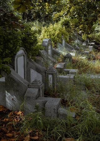 Bangkok, Thailand - 22 Sep, 2023 - Side of Traditional chinese graves are at Chinese Cemetery in Bangkok city. A rows of gray stone tombstones is in the graveyard, Fallen broken branches and leaves on the ground, Space for text, Selective focus.の写真素材