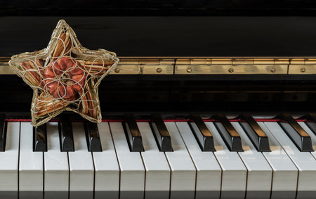 Golden star shaped mesh case is filled with dried fruits stand on the Piano Keyboard. Dried fruits...