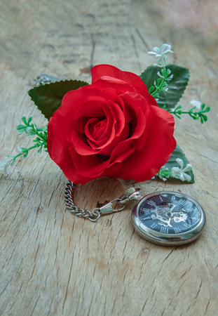 Red rose flower and A retro pocket watch on old wooden board background. Copy space, Selective focus.の写真素材