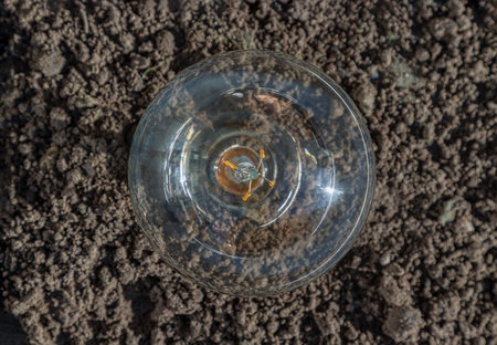 Light bulb put on the Soil and Sunlight in Nature background. Concept of Energy saving and Environmental friendly, Top view, Space for text, Selective focus.の写真素材