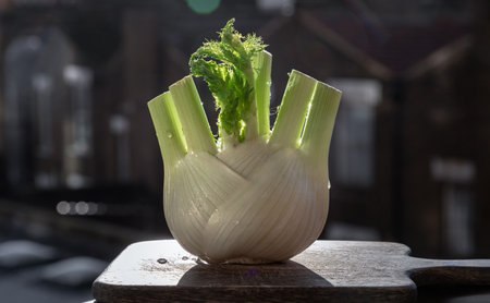 Fresh organic fennel vegetable on wooden cutting board with natural sunlight. Raw Organic Fennel Bulb, Healthy and benefits of Florence fennel bulb, Space for text, Selective focus.の写真素材