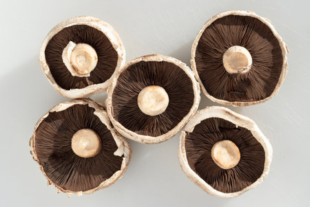Organic mushrooms Portobello top side and bottom sides spores, caps and stalks over. Fresh Healthy Raw Ready To Cook Portobello Mushrooms, Flat Mushrooms, Top view, Space for text, Selective focus.の写真素材