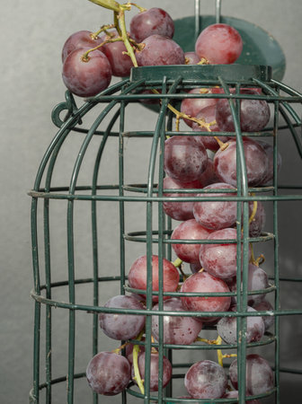 Bunch of Seedless grapes in a olive green cage on gray-green background. Space for text, Selective focus.の写真素材