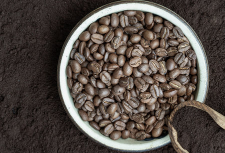 Coffee beans in round bowl with Coffee powder in wooden scoop with Coffee powder background. lternative coffee for living life, Coffee concept, Copy space, Selective focus.の写真素材