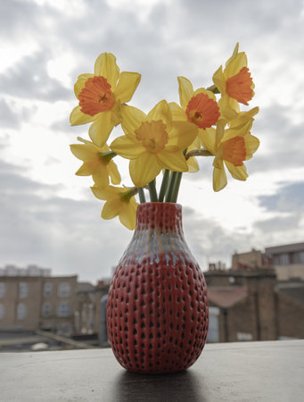 Bunch of daffodils in a red ceramic vase on the terrace with sky background. Arrangement of Yellow Spring Flowers Daffodils, Amazing view background with Yellow flowers, Copy space, Selective focus.の写真素材