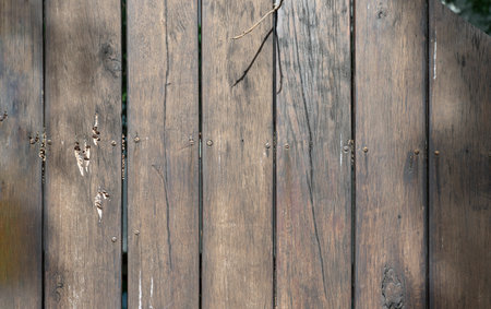 Textural background of wooden panels an old fence with a clear pattern of wood. A row evenly spaced rough brown timber planks used as a garden fence, Old natural wooden plank background texture, Space for text, Selective focus.の写真素材