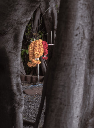 Marigold flower garlands hanging on steel under the big tree. is the belief of Thai villagers....