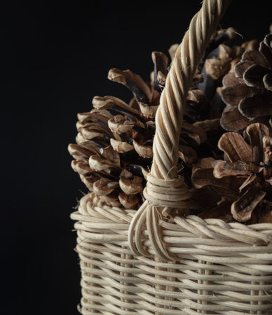 Pine cones in Wicker basket on black background. Pine cones nice and dry and some are open up, Light and Shadow, use it as your Wallpaper, Poster and Copy space, Selective focus.の写真素材