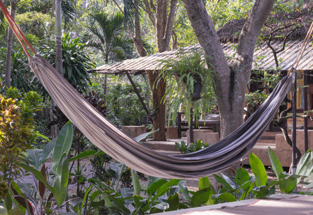 A peaceful scene with Cozy hammock hanging at terrace surrounded by lush greenery on sunny day. Concept of relaxing corner space, use it as your Wallpaper, Poster and Space for text. Selective focus.の写真素材