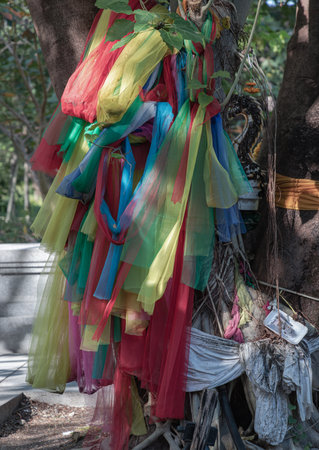 Various multicolored ribbons are tied wrapped around holy the massive trunk of age old sacred tree. The layers of multi-colored cloth binding to the tree, Tie vibrant colorful fabrics stands as a focal point in a spiritual setting and cultural, use it as your Wallpaper, Poster and Space for text, Selective focus.の写真素材