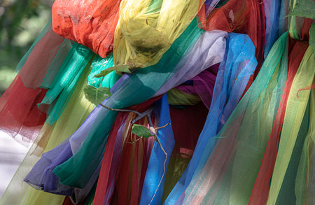 Tie vibrant colorful fabrics stands as a focal point in a spiritual setting and cultural. Various...