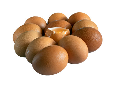 Egg yolk in Broken raw chicken eggshell in the among of Fresh chicken egg (Hen egg) isolated on White background with clipping path. Natural organic fresh eggs for healthy food, use it as your Space for text, Design, Wallpaper and Poster, Selective focus.の写真素材
