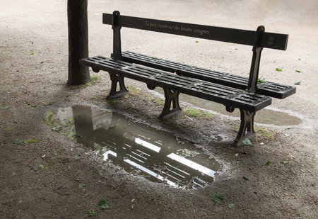 France, Paris - May 03, 2025 - One empty bench made of black iron at the Palais Royal Garden (Jardin du Palais Royal), Benches garden beneath the shade of the trees with reflection in a puddle after rain. use it as your Wallpaper, Poster and Space for text, Selective focus.の写真素材