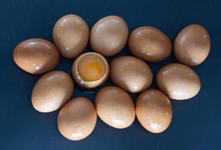 Top view of Egg yolk in Broken raw chicken eggshell in the among of Fresh chicken egg (Hen egg) on dark background. Natural organic fresh eggs for healthy food, use it as your Space for text, Design, Wallpaper and Poster, Selective focus.の写真素材