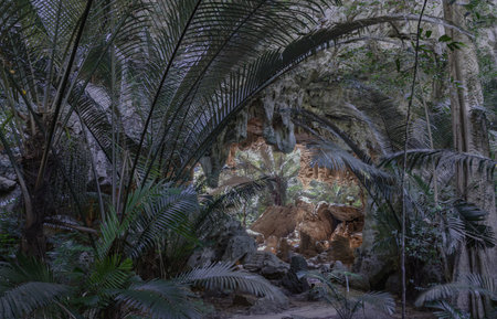 Uthai Thani, Thailand - 06 Dec, 2024 - The famous travel destinations Ancient forest Hup Pa Tat in the Central Valley Uthai Thani. it is the old limestone cave with stalactites and stalagmites and Green palm trees foreground, use it as your Wallpaper, Poster and Space for text, Selective focus.の写真素材