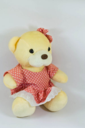 Teddy bearの写真素材