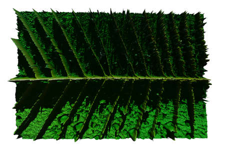 The fiber beautiful the leaves and A drop of water, dept of focusの写真素材
