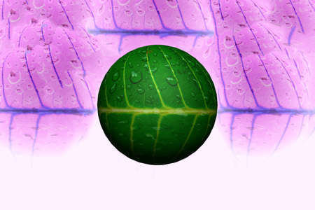 The fiber beautiful the leaves and A drop of water, dept of focusの写真素材