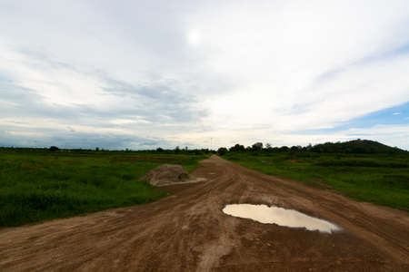 Tranquil grassland at sunriseの写真素材